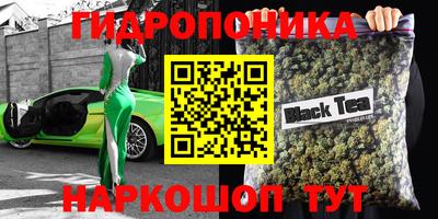 стаф Ливны
