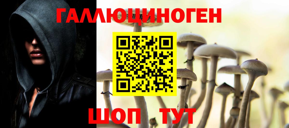 Псилоцибиновые грибы мицелий Усть-Джегута