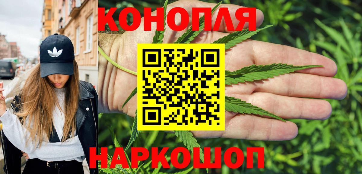 Бошки Шишки индика  Вход с VPN  МАРИХУАНА план  Усть-Джегута  Бошки Шишки гибрид  Бошки Шишки гибрид 