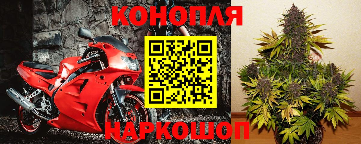 Шишки марихуана Ganja Усть-Джегута